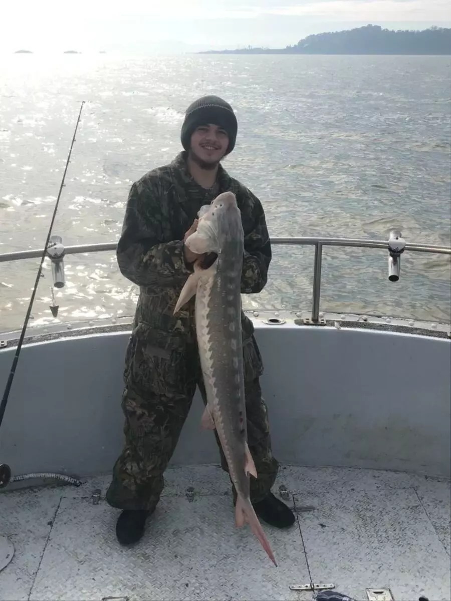 Ms Marin Fish Report Ms Marin San Pablo bay sturgeon February 24