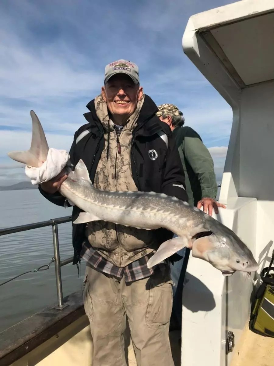 Happy Hooker Fish Report Happy Hooker San Pablo Bay Sturgeon