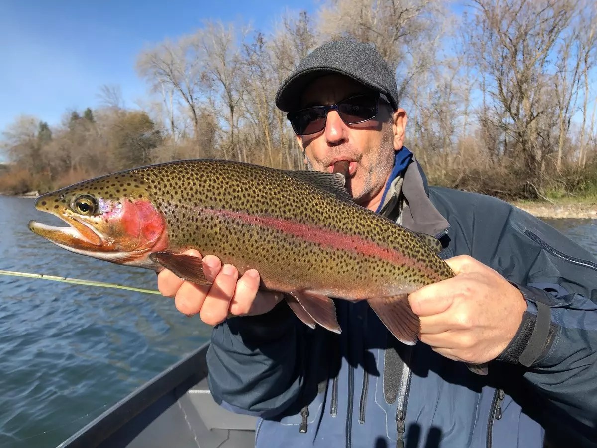 Fishing Sac River wild rainbow fishing!