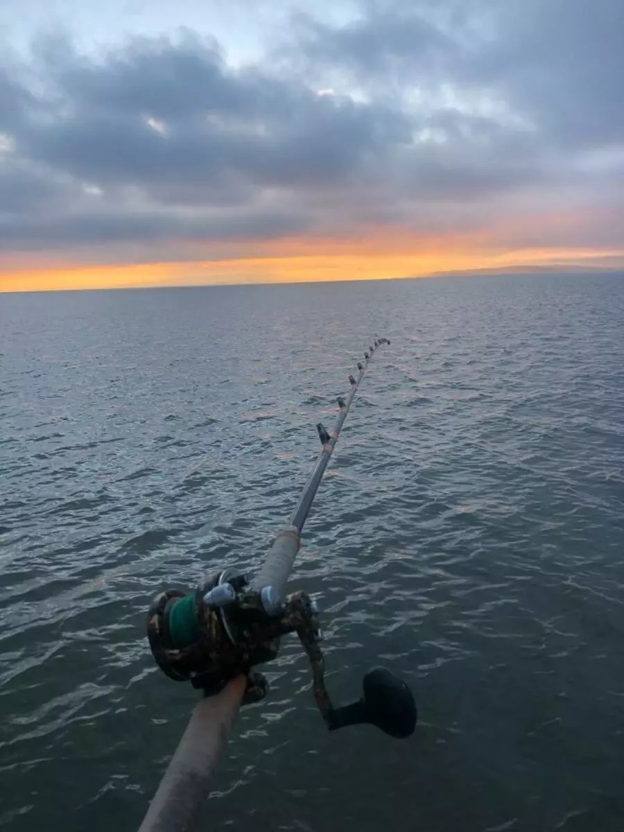 San Pablo Bay Fish Report BassTub North Bay Fun February 9, 2019