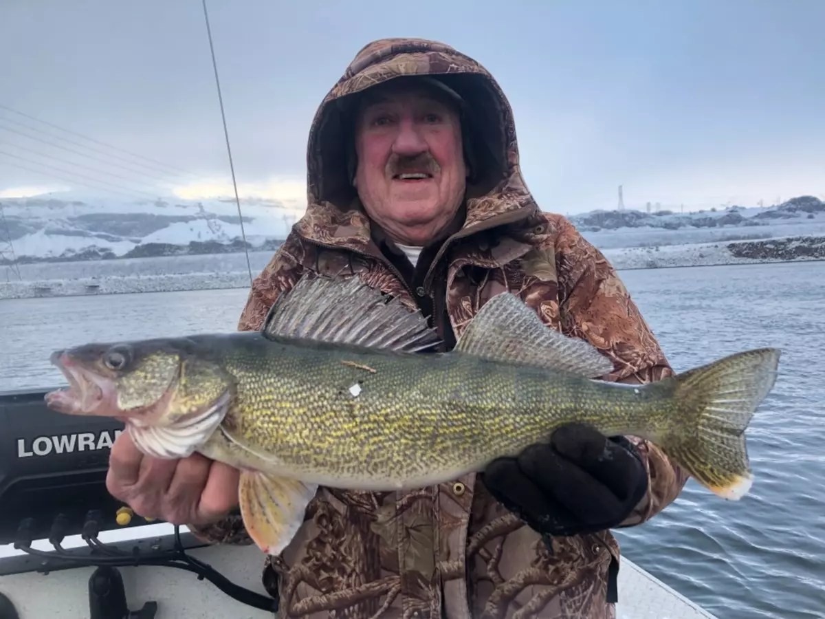 Columbia River Fish Report