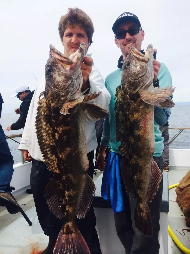 Saltwater Report Rockfish Limits!