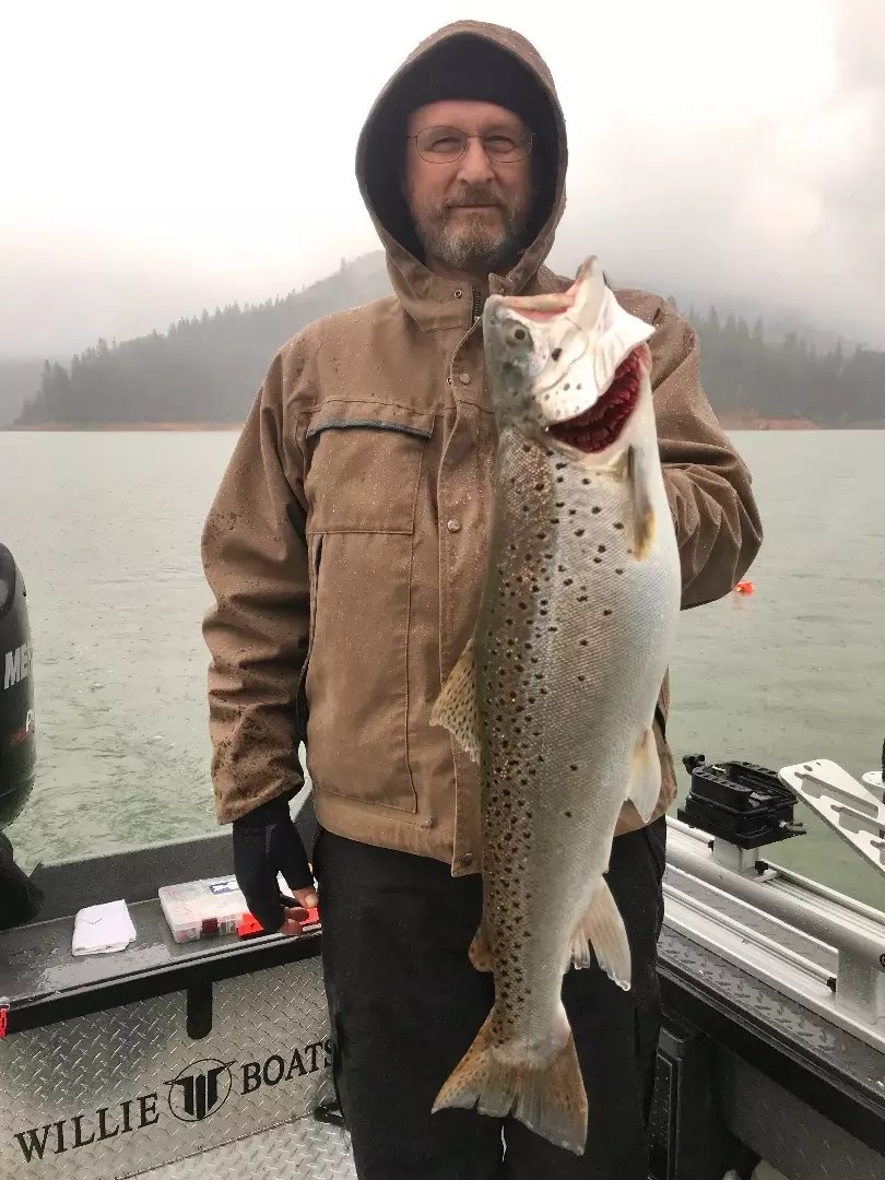 Shasta Lake Fish Report Shasta Lake Big Shasta trout in a big rain