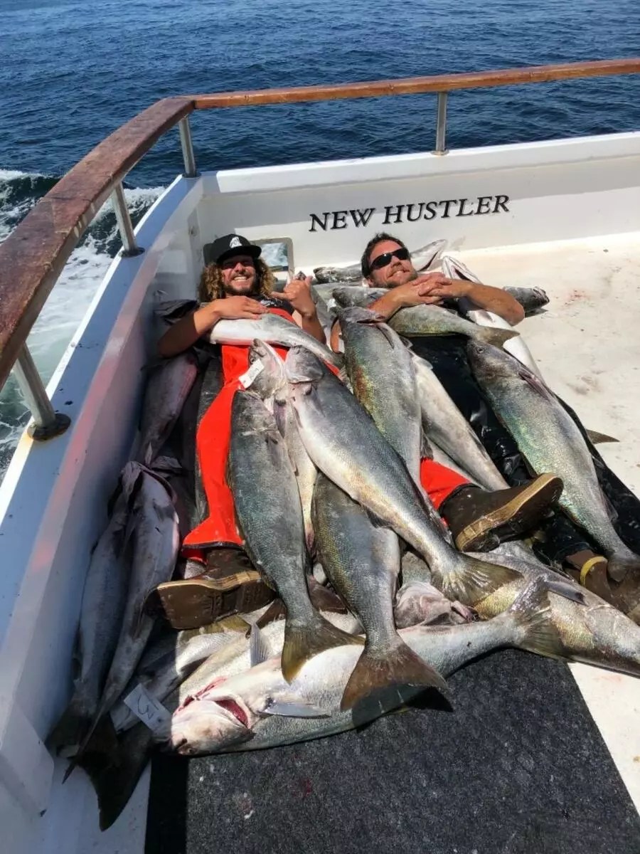New Hustler Limits of White Sea Bass