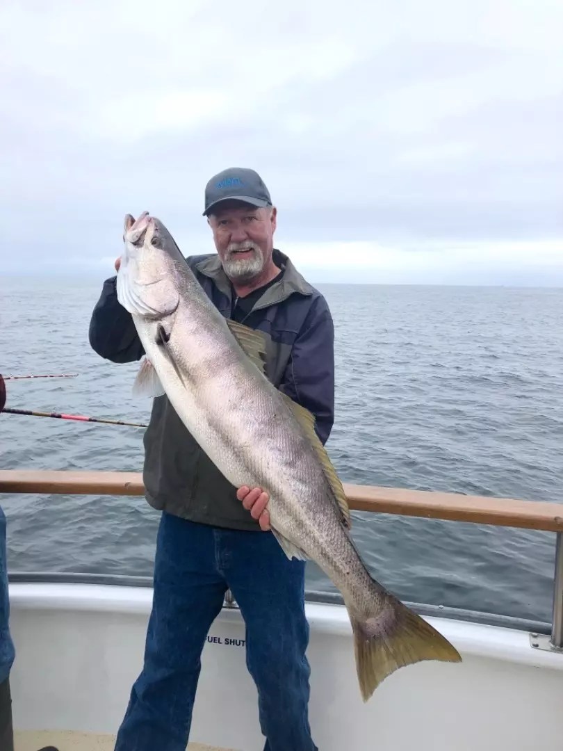 Aloha Spirit Few more White Sea Bass