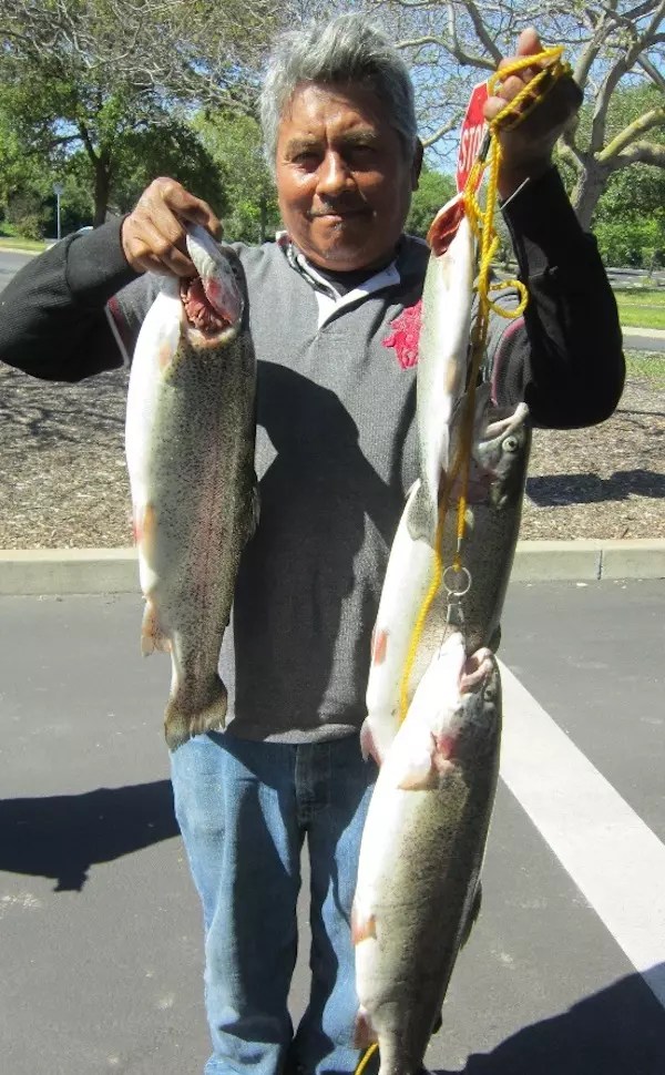 Quarry Lakes Horseshoe Lake Fishing Report