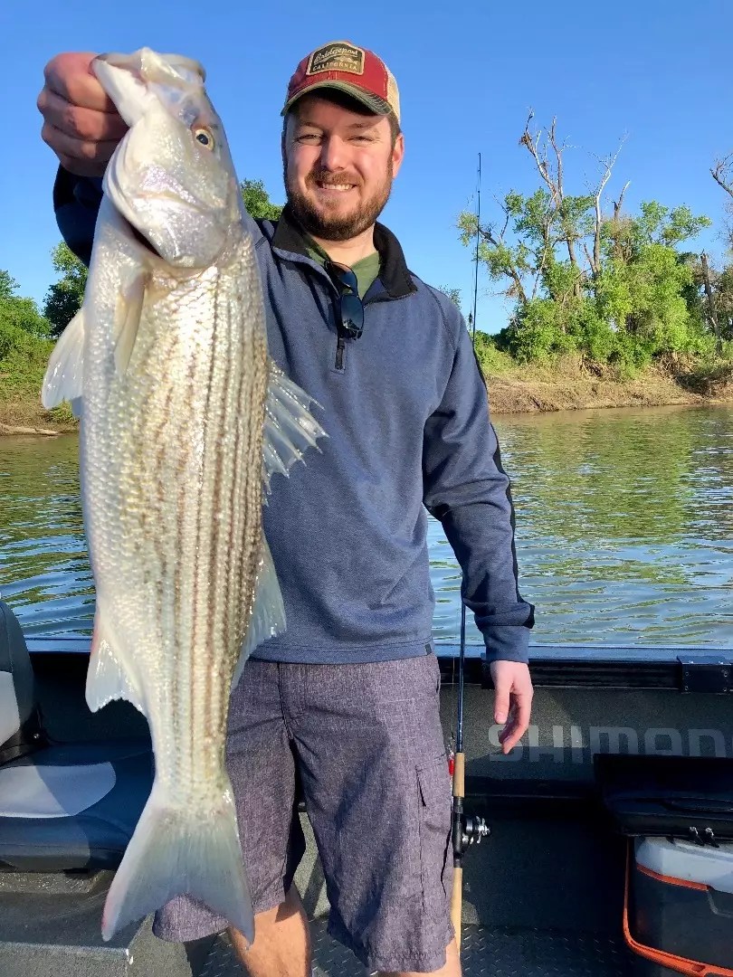 Fishing Colusa Striper bite still strong!