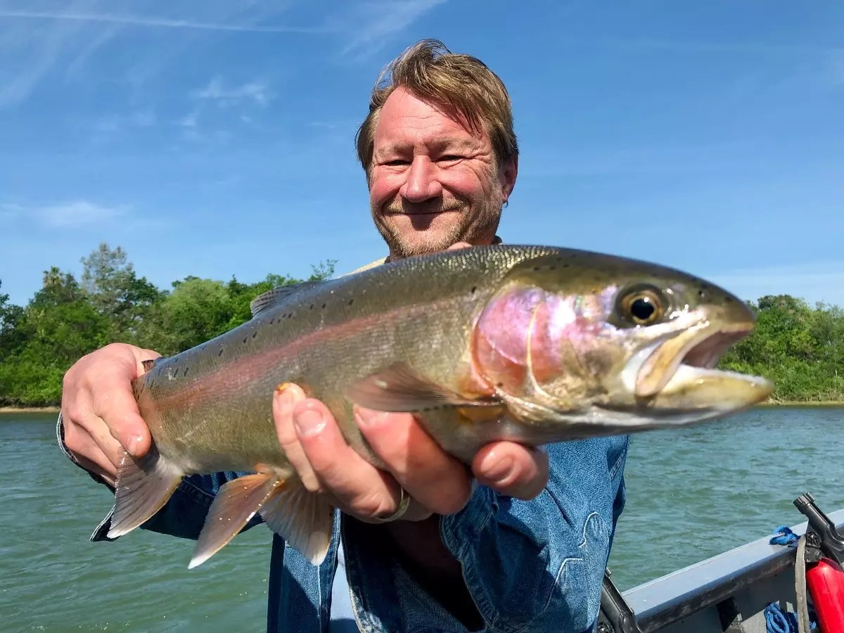 Fishing Sac River trout bite continues