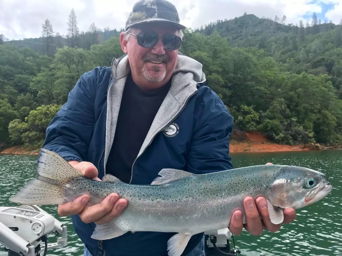 Fishing Shasta Lake trout hunker down!