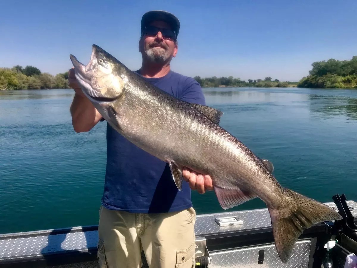 Fishing Sacramento River salmon season coming up quick!