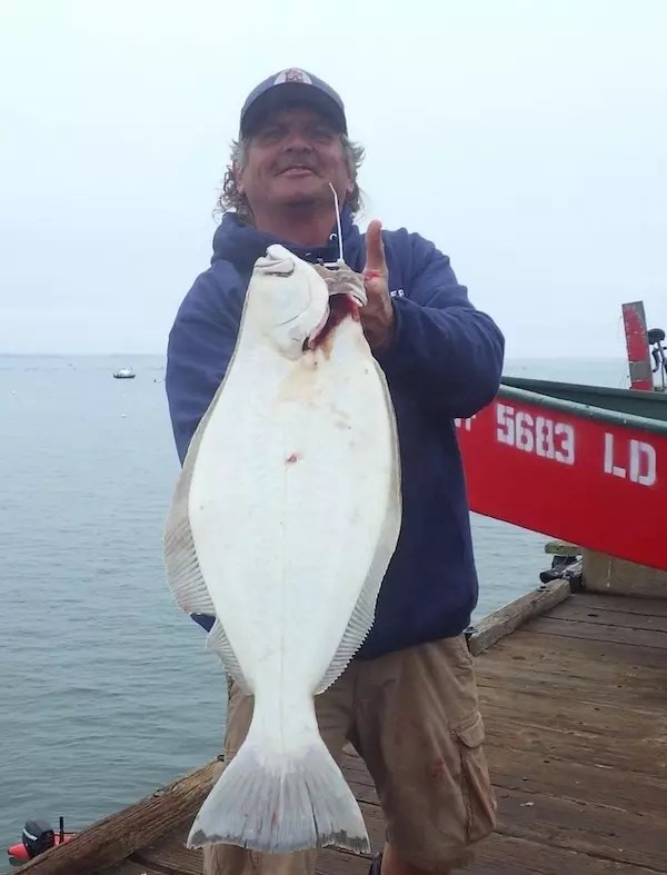 Monterey Bay Fish Report