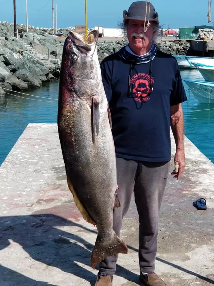 Fish Report White Sea Bass June 23, 2019