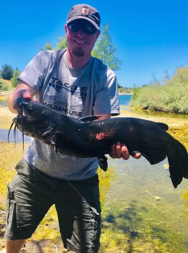 Quarry Lakes Fish Report Quarry Lakes Catfish Are Biting June 26, 2019