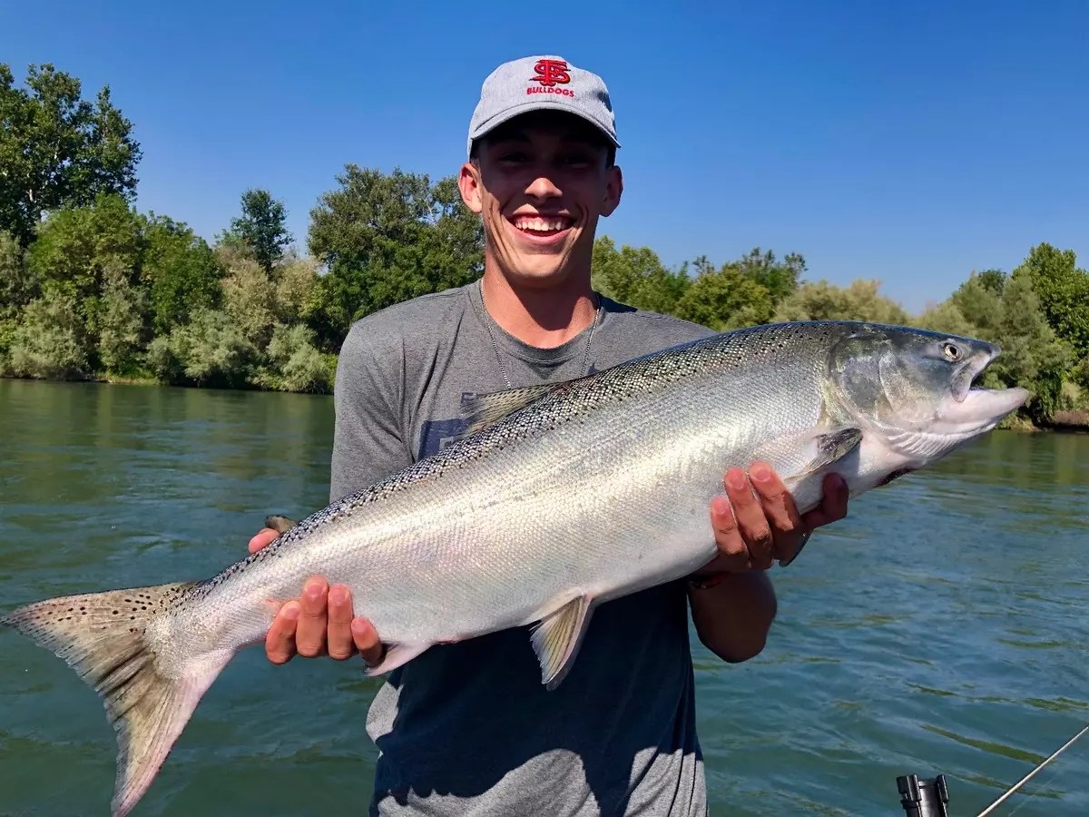 Sacramento River Lower Fish Report Sacramento River Lower Red