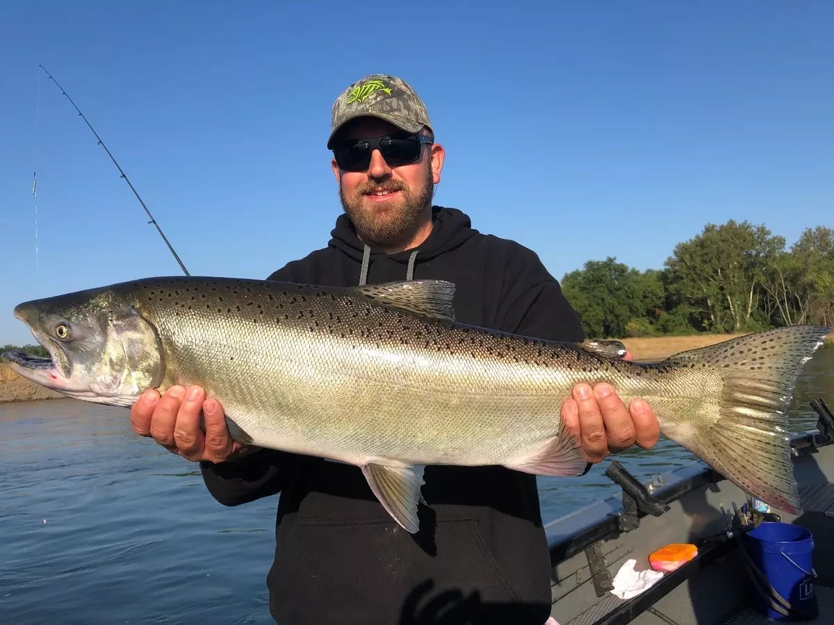 Fishing Sacramento River King salmon looking good!