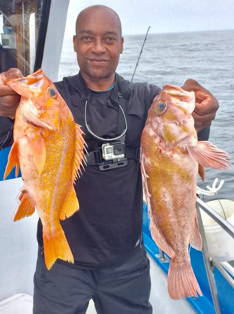 Fish Report Limits of Rockfish
