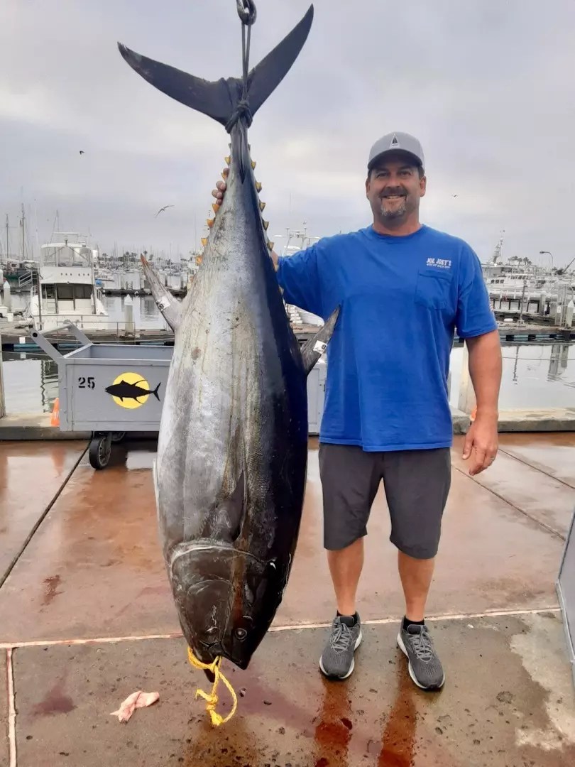 Pacific Dawn Yellowfin Tuna limits