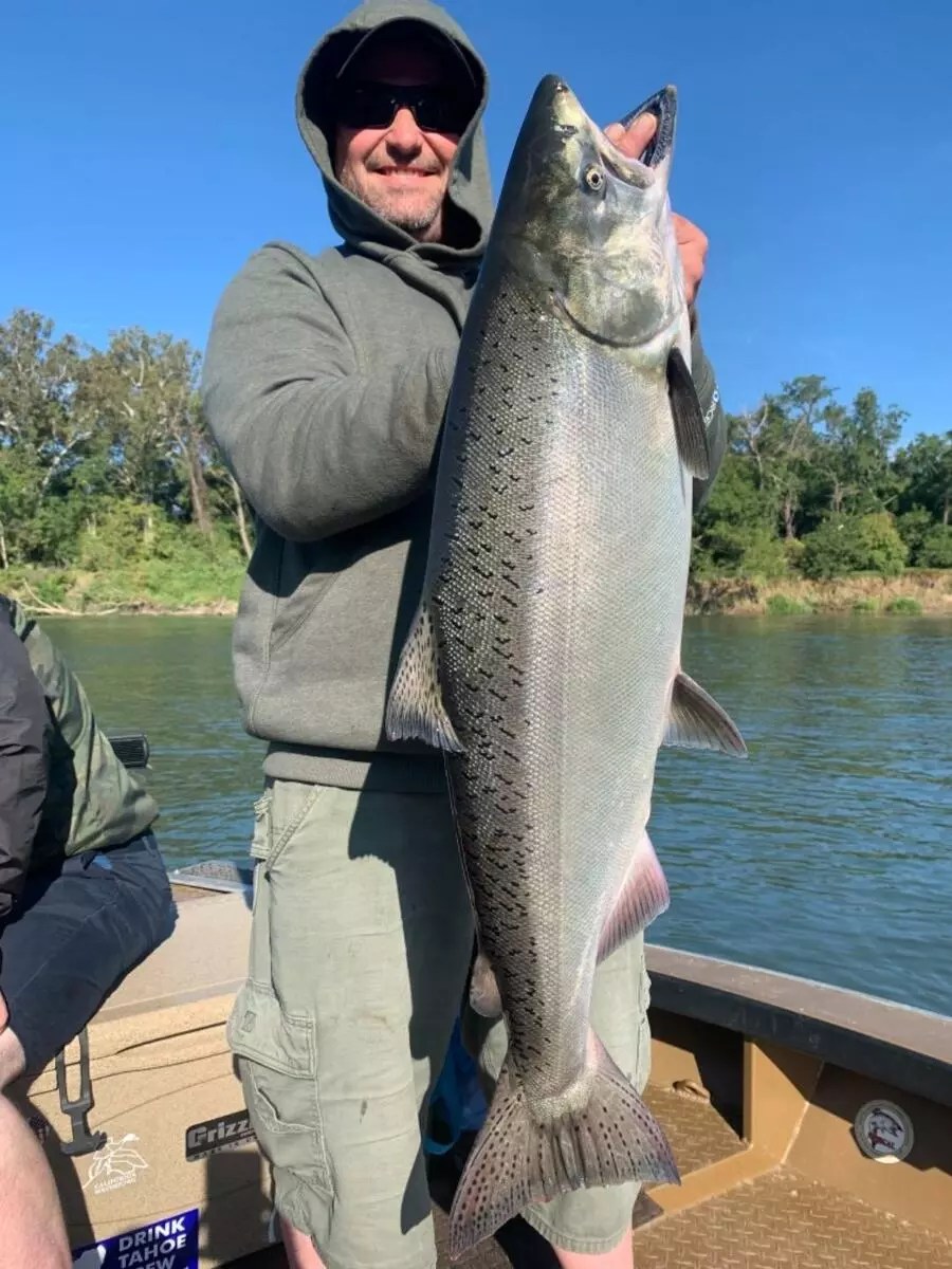 Sacramento River Fish Report Sacramento River King salmon August