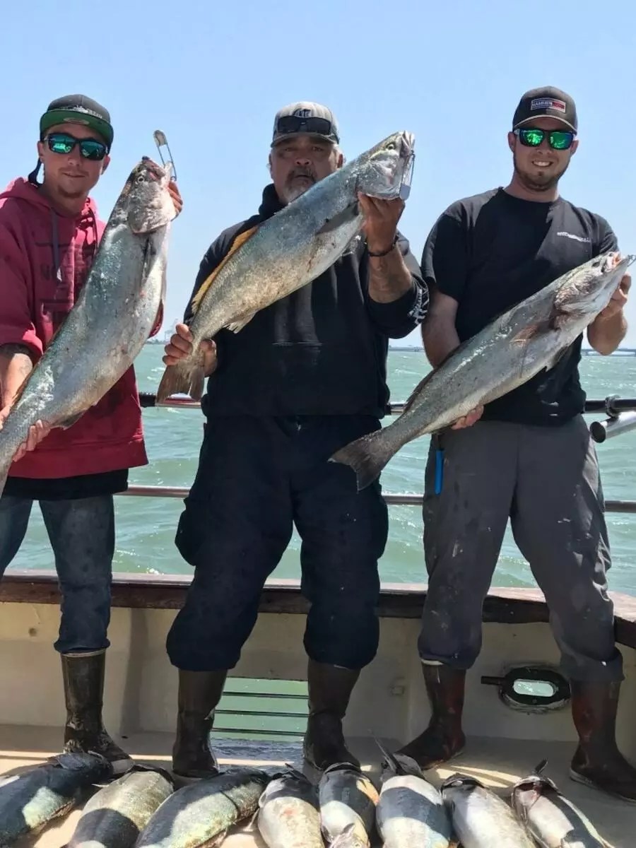 Happy Hooker Fish Report Happy Hooker White Sea bass come on