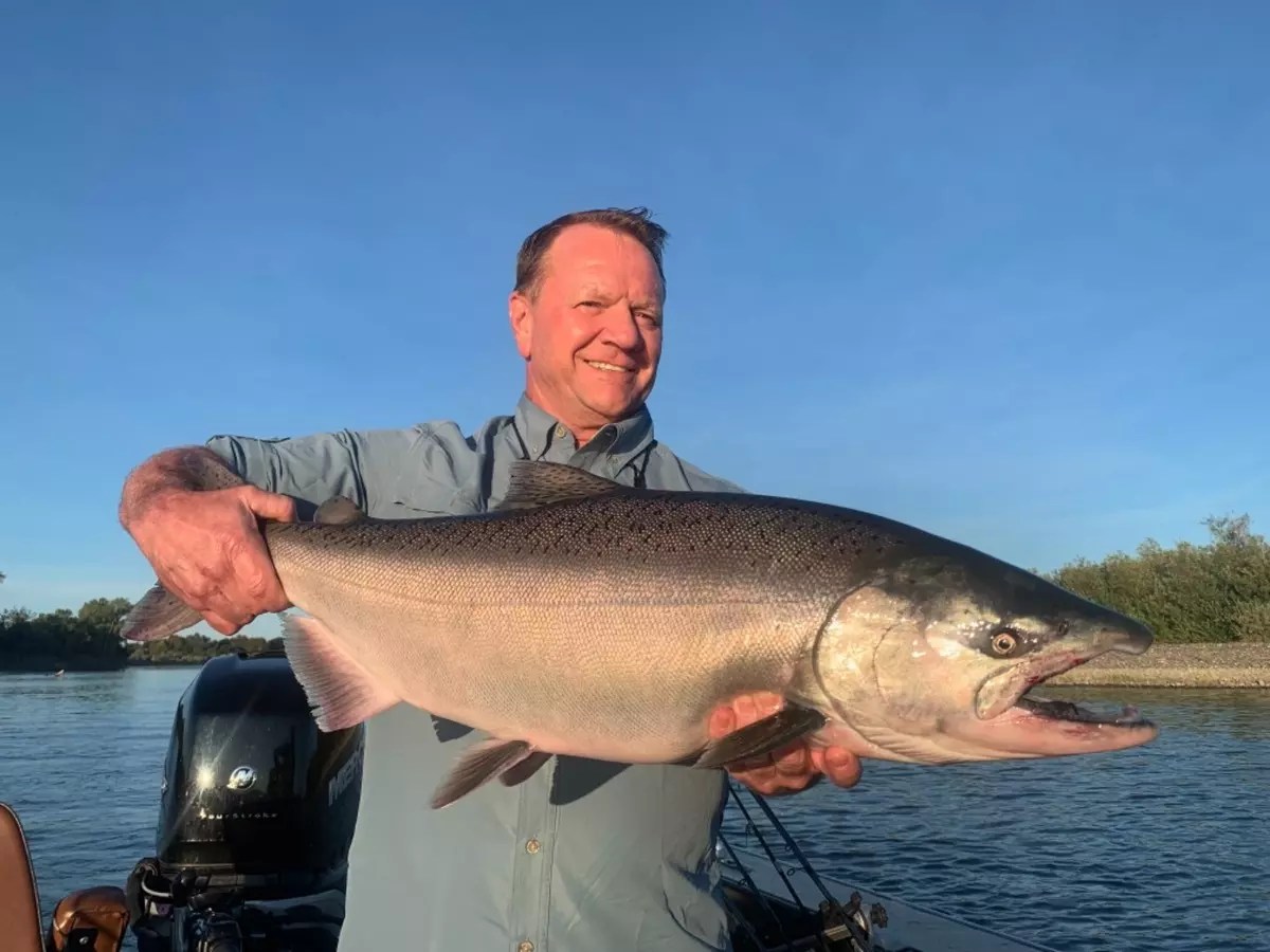 Sacramento River Fish Report Sacramento River Big king salmon
