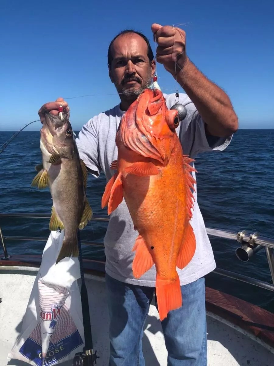 Happy Hooker Fish Report Happy Hooker Farallon islands rockfish and