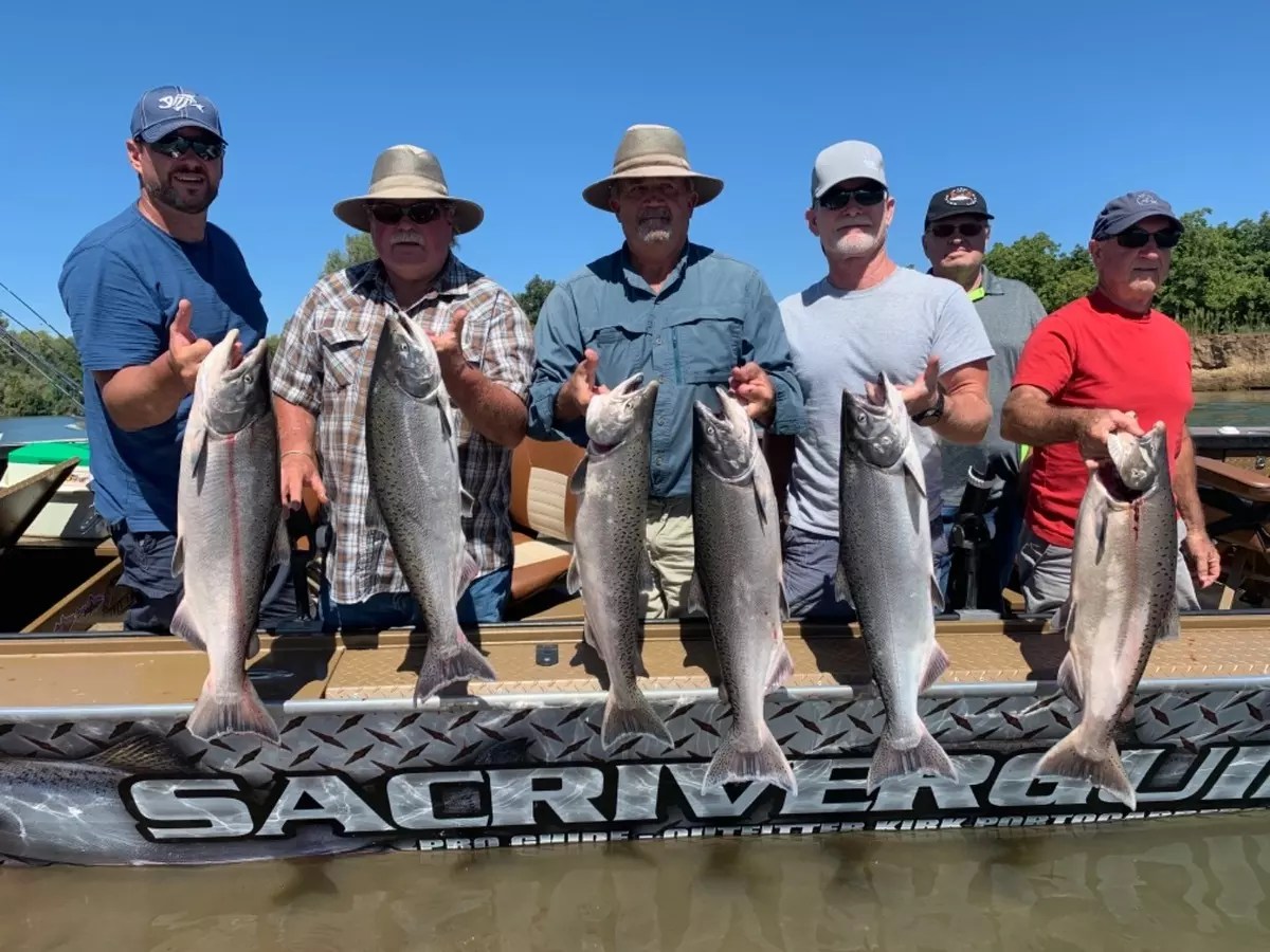 Sacramento River Fish Report Sacramento River Kings are here