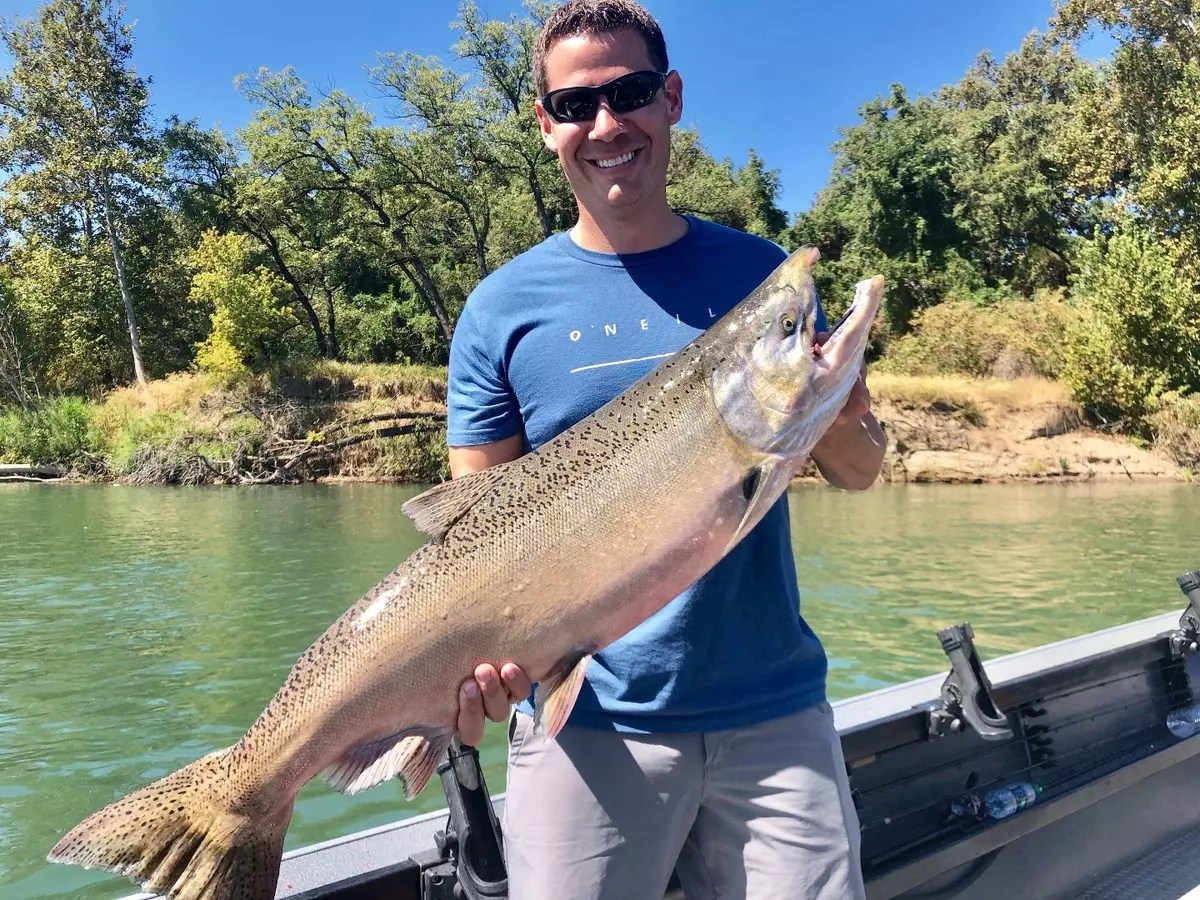 Sacramento River Fish Report Sacramento River Sac River Kings