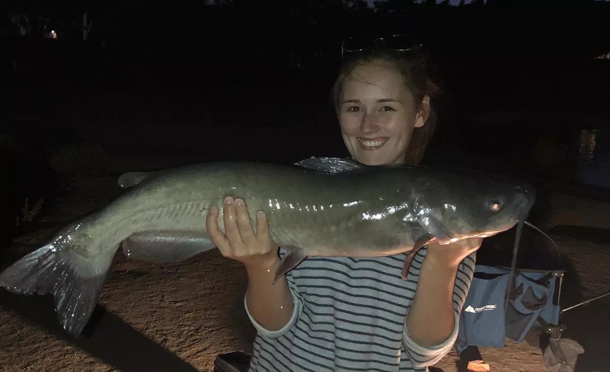 Hesperia Lake Fish Report Hesperia, CA (San Bernardino County)