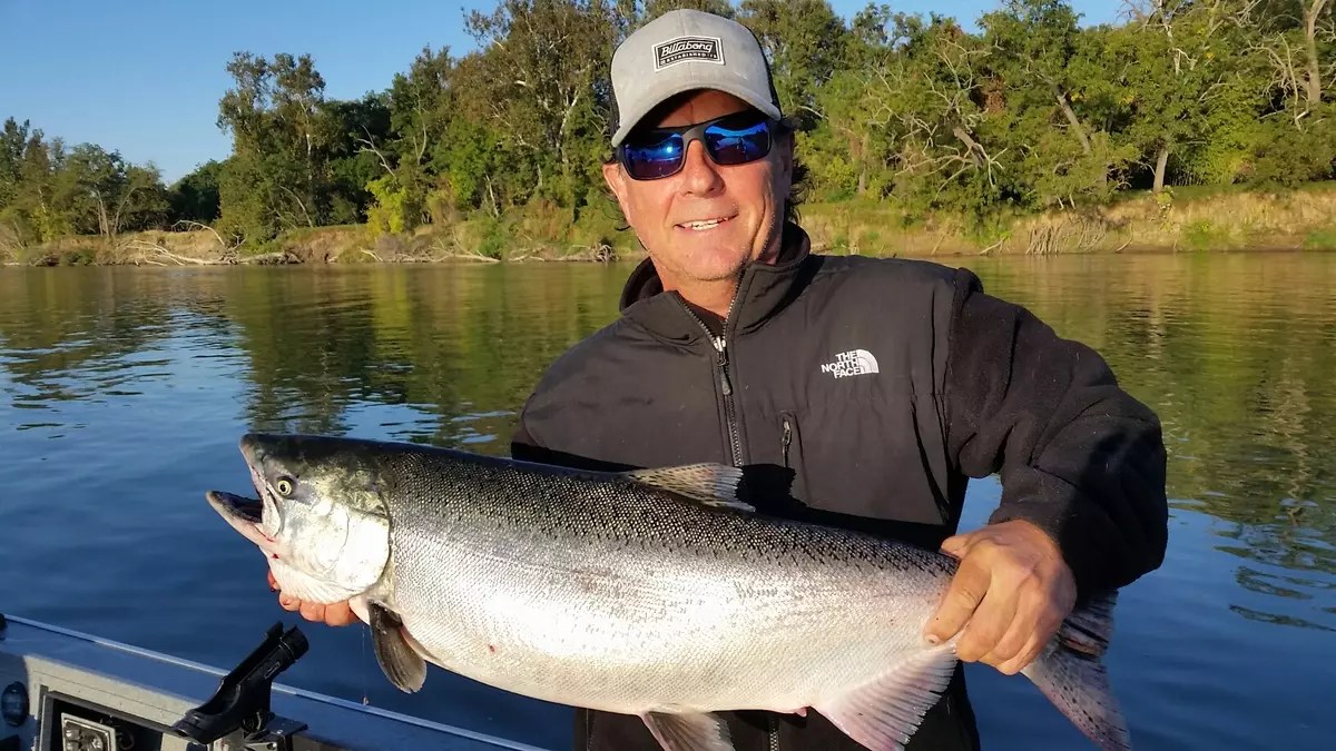 Fishing Sacramento River salmon run continues!