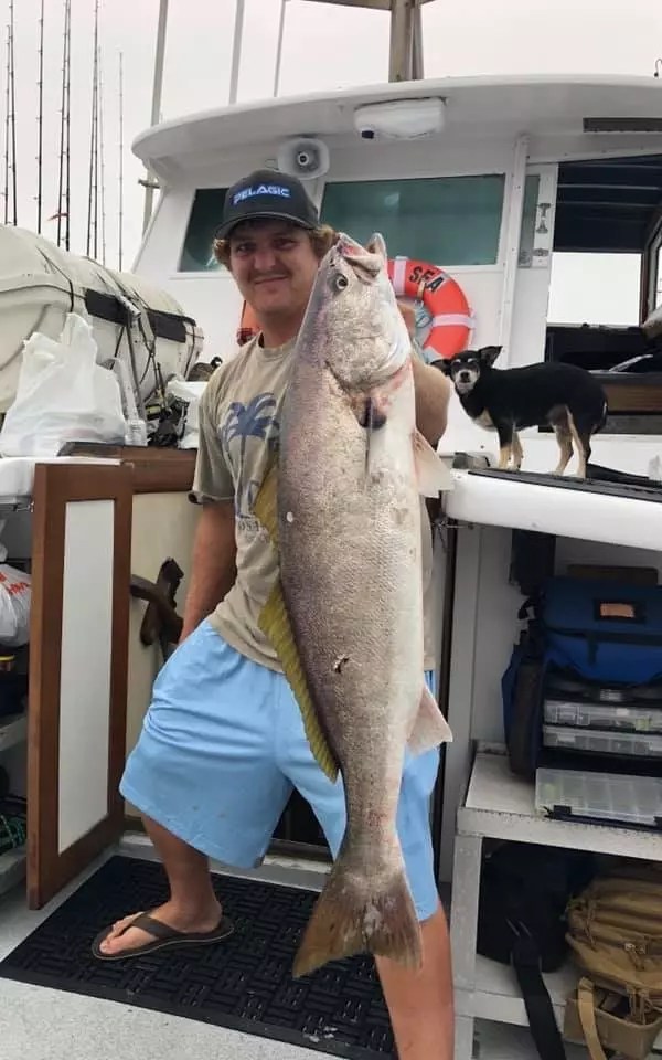 Coral Sea Bass Fishing