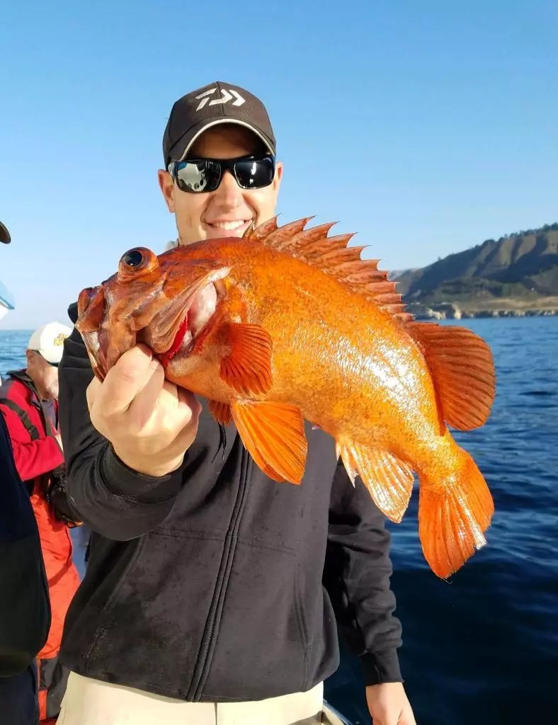 Kahuna Fishing in the kelp beds!
