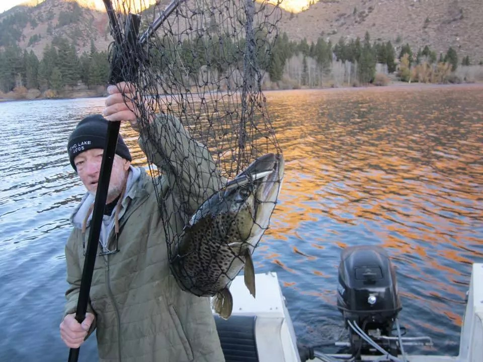 Twin Lakes (Bridgeport) Fish Report Twin Lakes (Bridgeport) 8 Lb. C