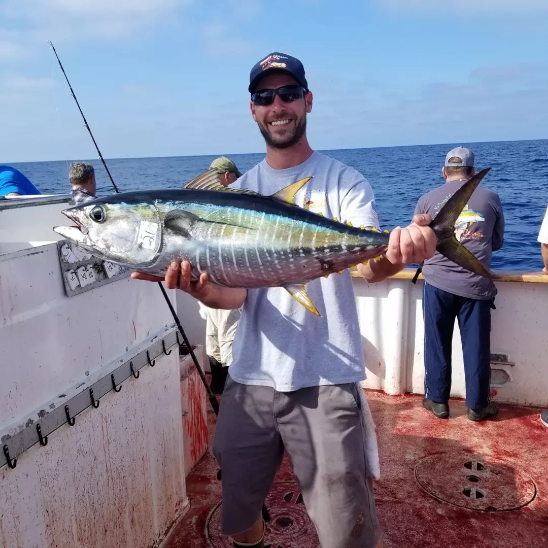Condor Fish Report Condor Limits of yellowfin tuna in mid November!!! November 17, 2019