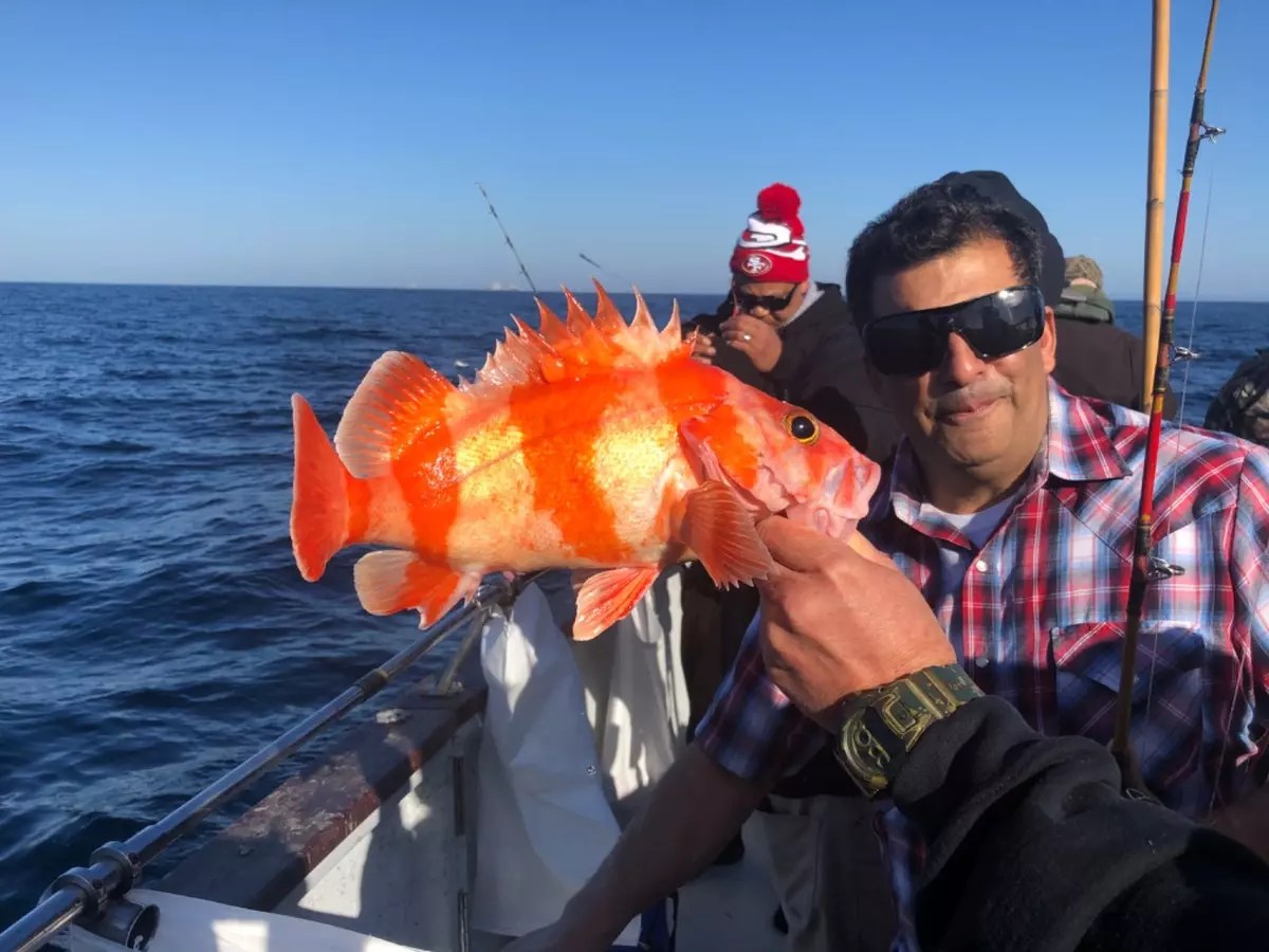 Happy Hooker Fish Report Happy Hooker Farallon islands rockfish and