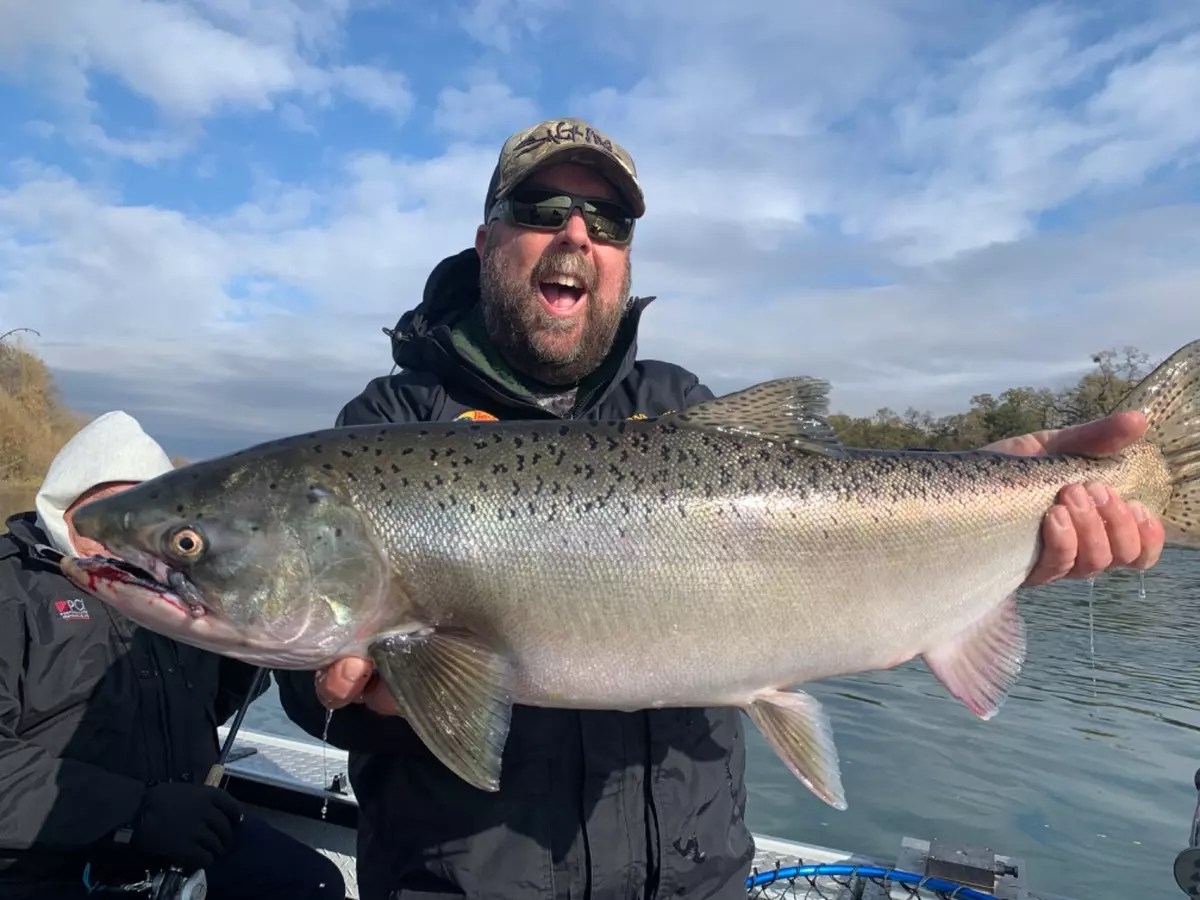 Sacramento River Fish Report Sacramento River King salmon time