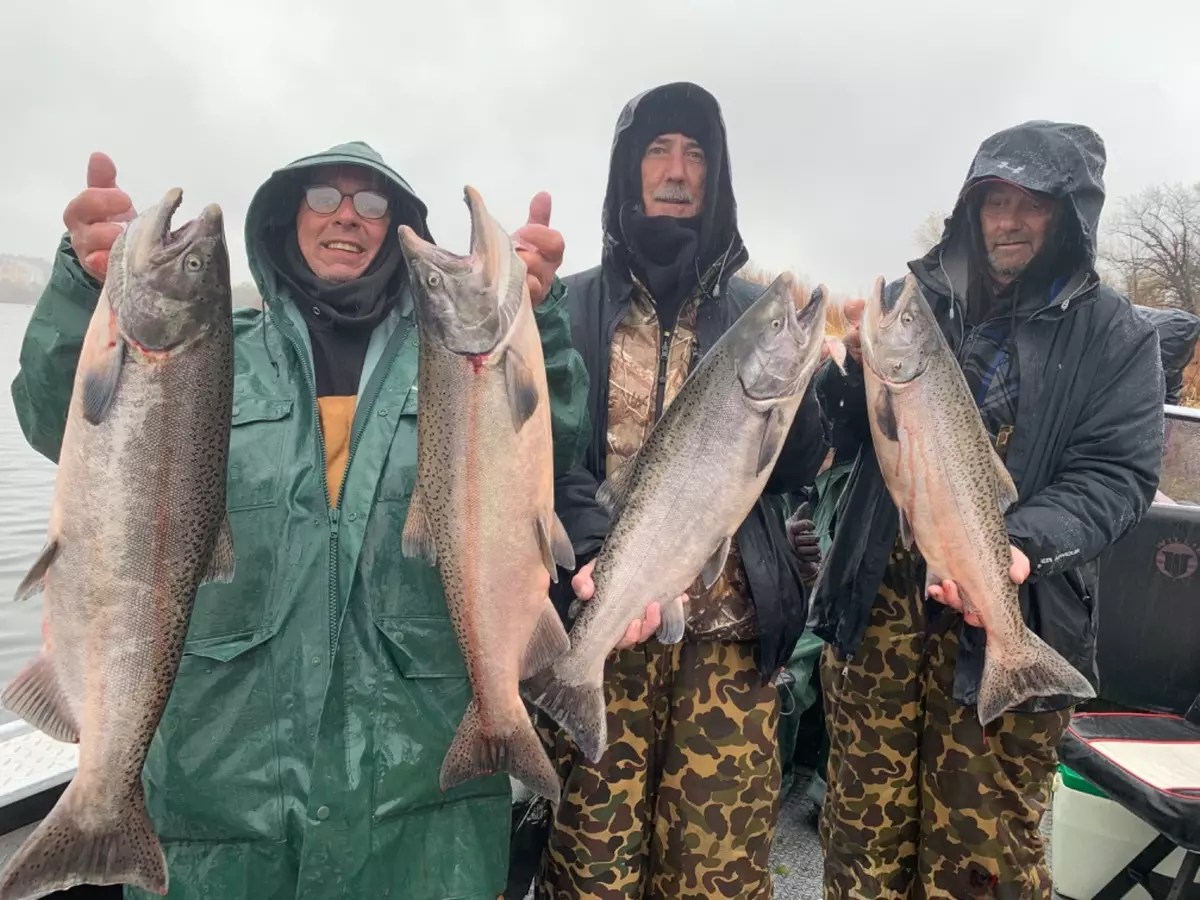 Sacramento River Fish Report Sacramento River King salmon