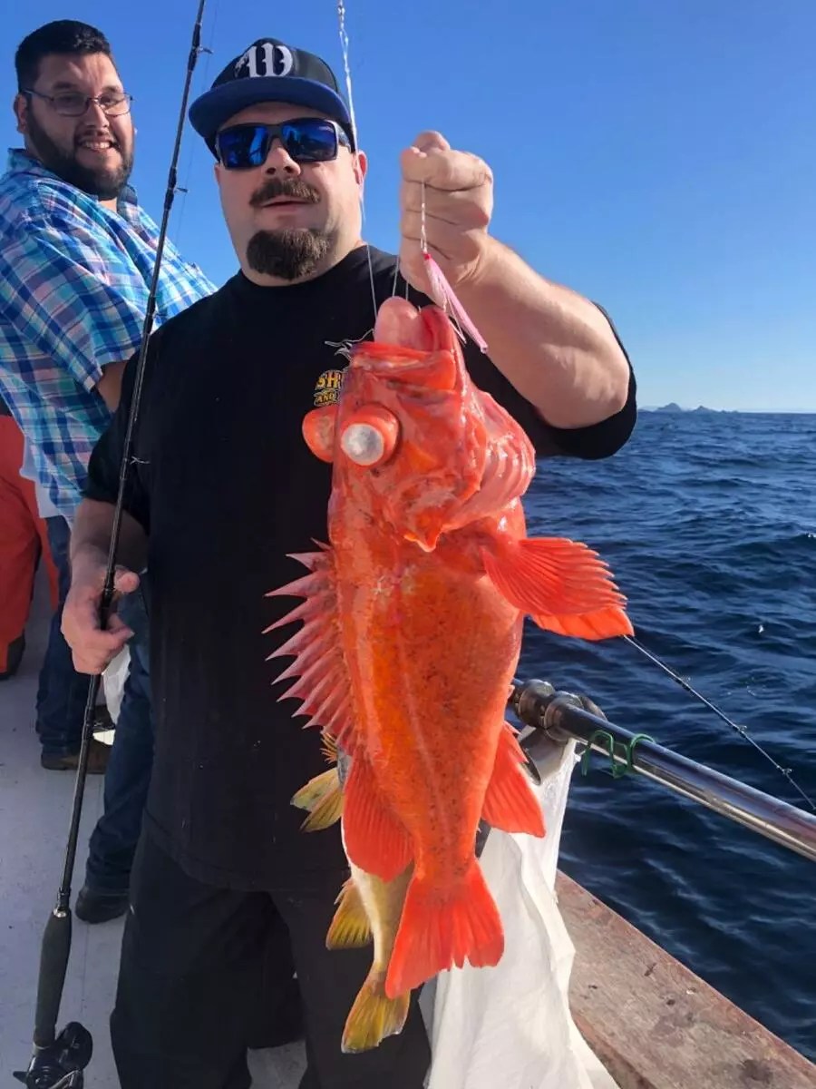 Happy Hooker Fish Report Happy Hooker Farallon islands rockfish and