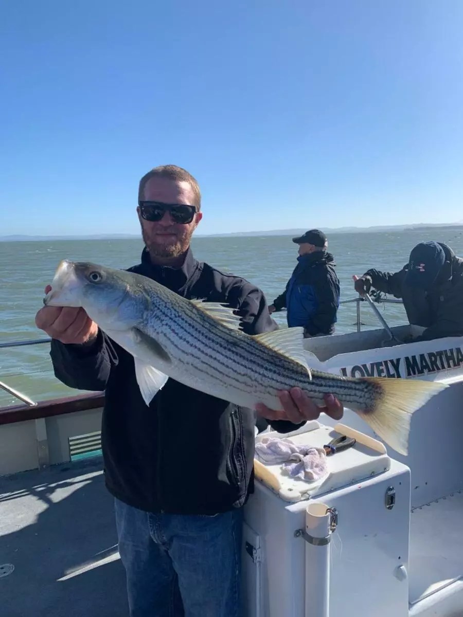 Lovely Martha Fish Report Fish Report San Pablo bay action