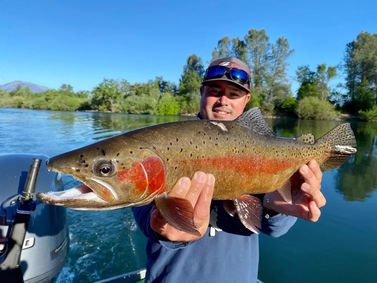 Fishing Wide open trout bite in Redding!