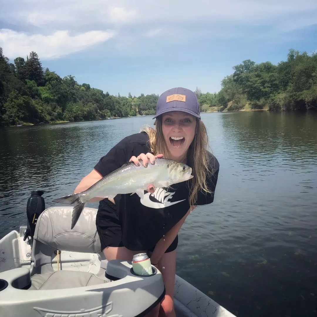 American River Fish Report Sacramento, CA (El Dorado County)