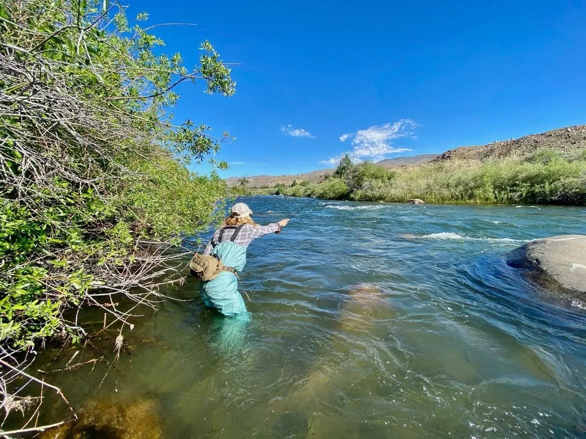 Topaz Lake Fish Report Gardnerville, NV