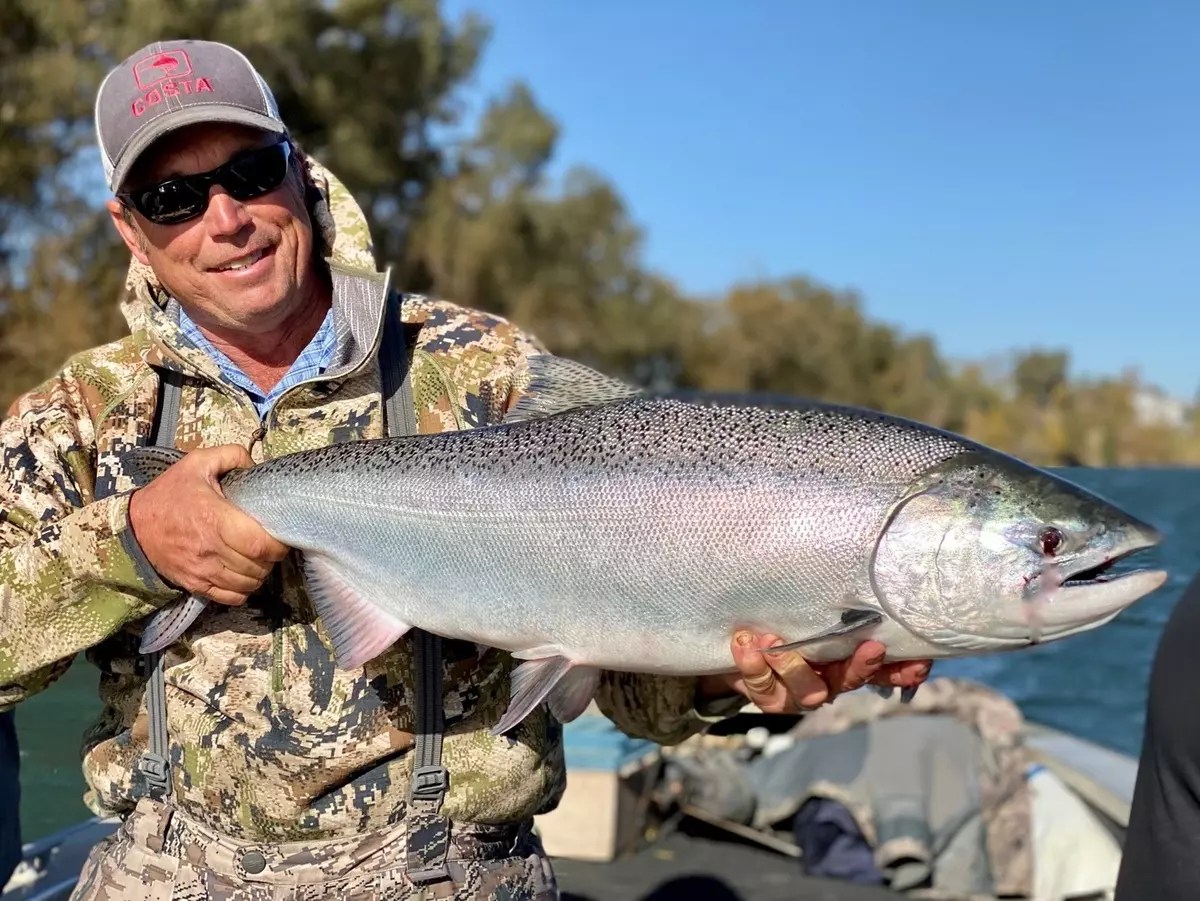 Sacramento River Fish Report Sacramento River Current Sacramento