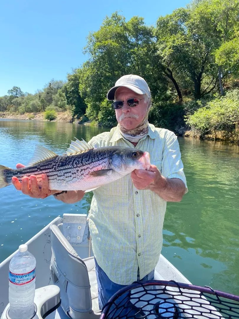 American River Sacramento, CA Fish Reports & Map