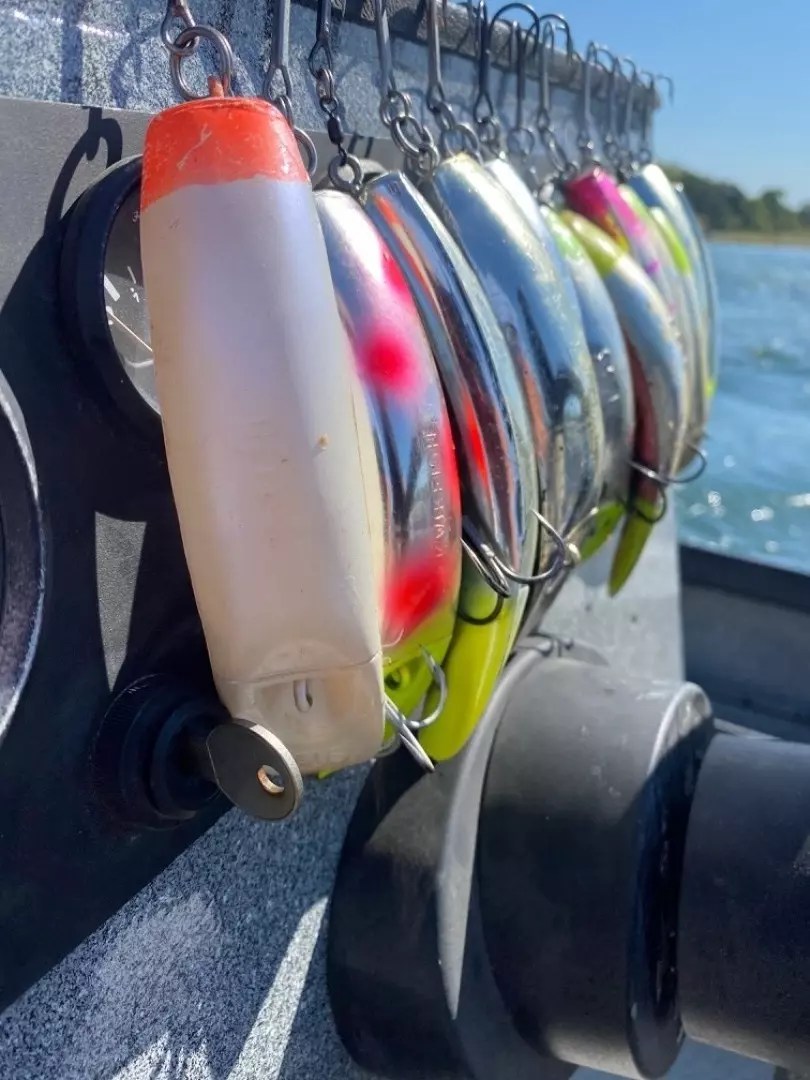 Sacramento River Lower Fish Report Redding, CA (Shasta County)