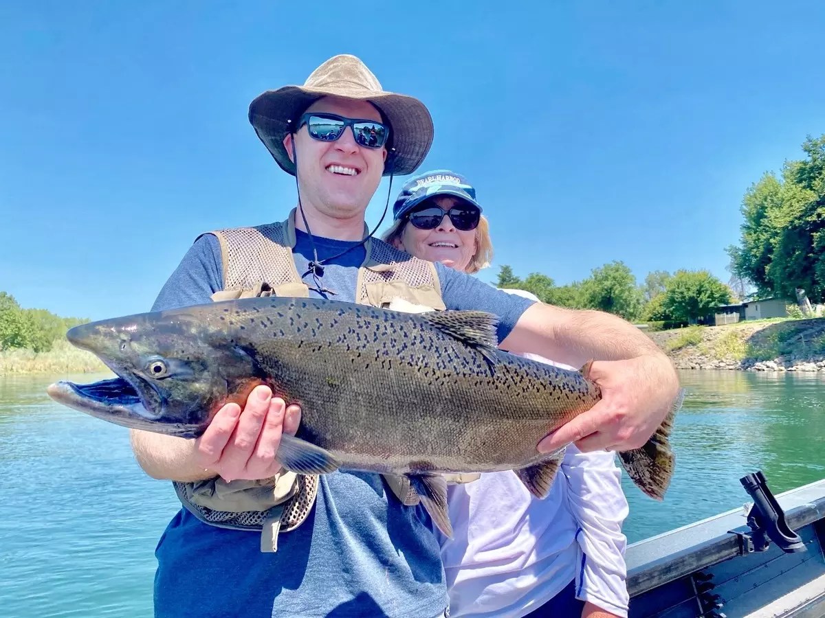 Sacramento River Red Bluff Fish Report Sacramento River Red Bluff