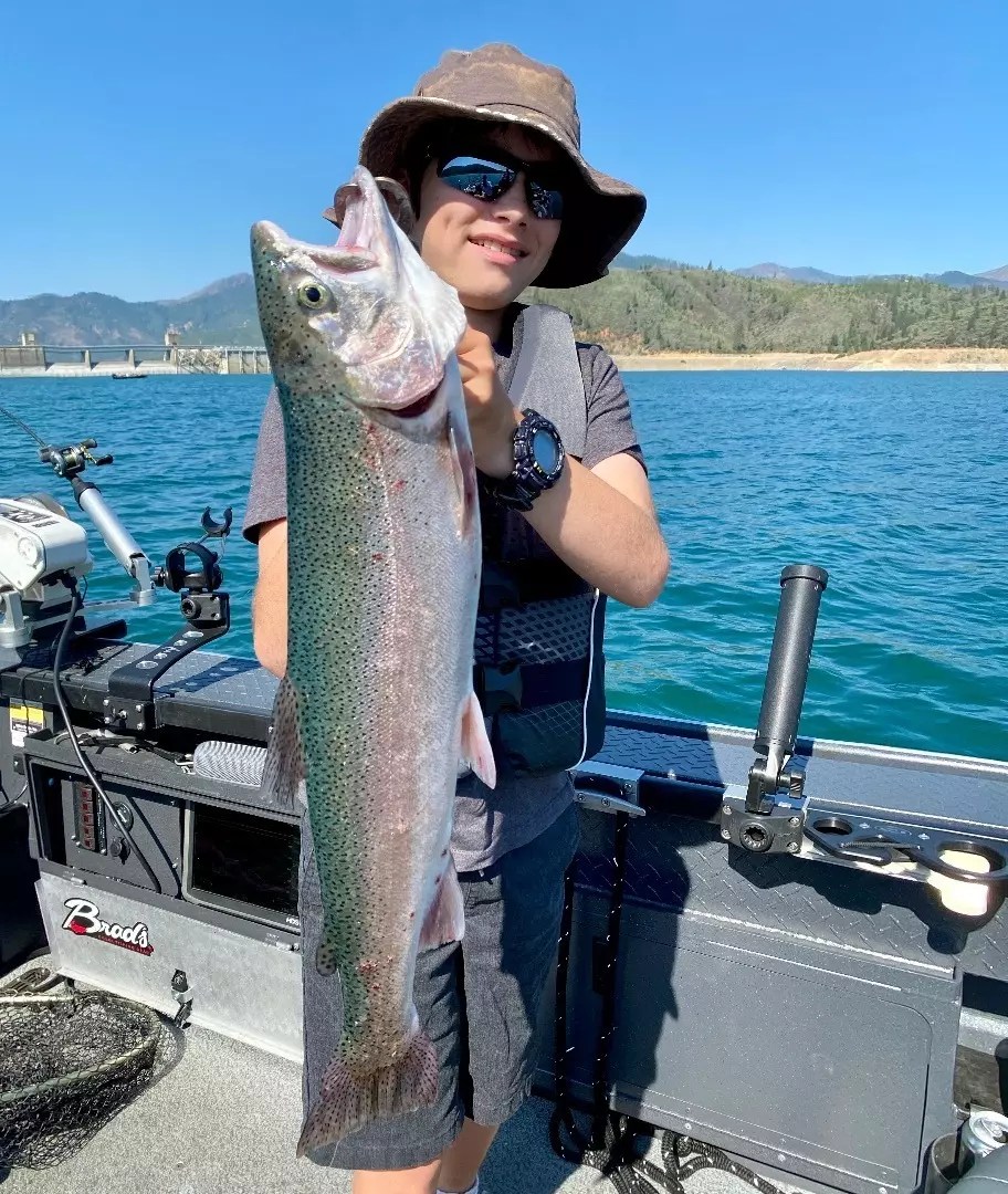 Shasta Lake Fish Report Shasta Lake Shasta Lake Summer Trout