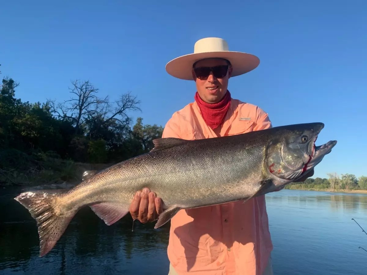 Fishing Giant king salmon