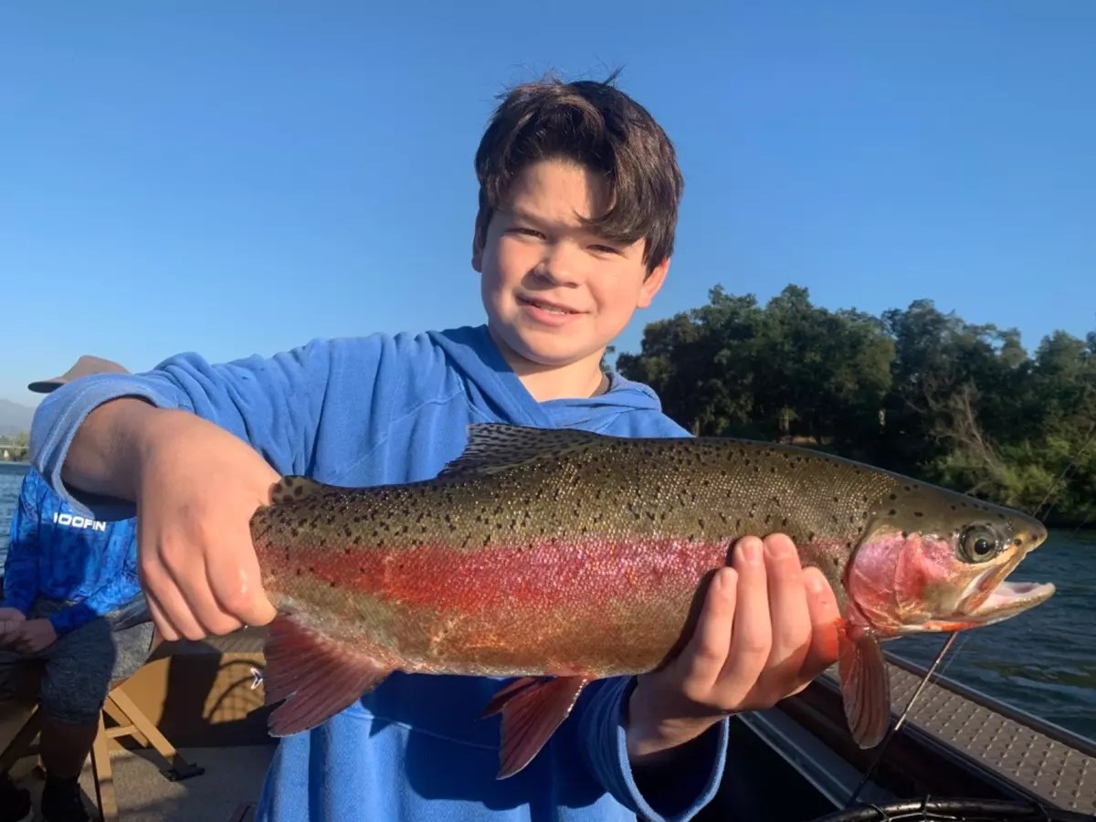 Sacramento River Fish Report Sacramento River Wild Rainbow Trout