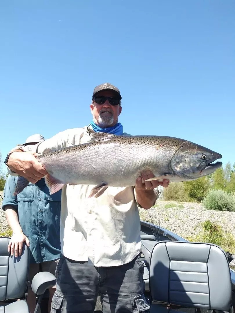 Sacramento River Fish Report Sacramento River King Salmon Fishing