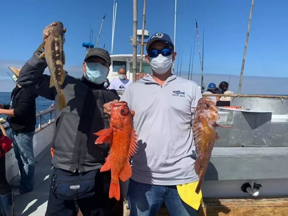 Coral Sea Great fishing at Santa Rosa Island